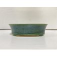 Photo2: No.DA5474<br>koyo (2)