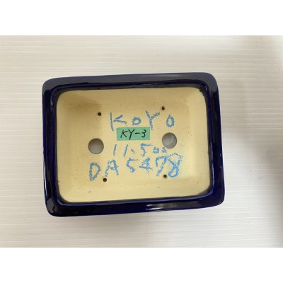 Photo3: No.DA5478 koyo