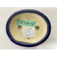Photo3: No.DA5480<br>koyo (3)