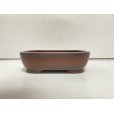 Photo2: No.DA54111<br>Bigei (2)
