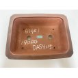 Photo3: No.DA54115<br>Bigei (3)