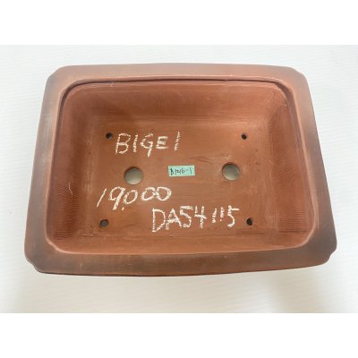 Photo3: No.DA54115 Bigei