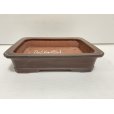 Photo1: No.DA54116<br>Bigei (1)