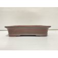 Photo2: No.DA54116<br>Bigei (2)