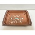 Photo3: No.DA54116<br>Bigei (3)