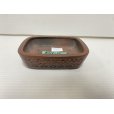 Photo1: No.DA54118<br>Bigei (1)