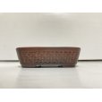 Photo2: No.DA54118<br>Bigei (2)