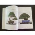 Photo3: No.TA album 43 (3)