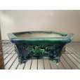 Photo3: No.FA4501 <br>Bonsai pots by Shigeru Fukuda (3)