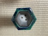 No.FA4503  Bonsai pots by Shigeru Fukuda