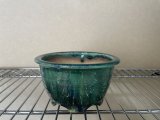 No.FA4506  Bonsai pots by Shigeru Fukuda
