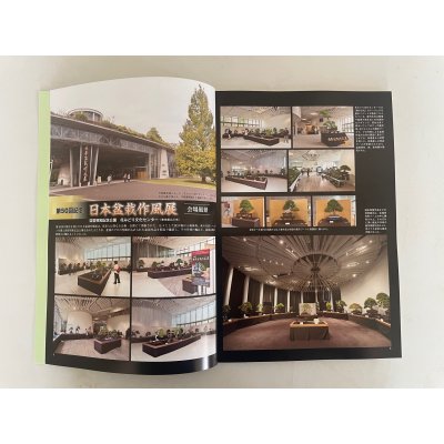 Photo3: No.SF album 50  Sakufu ten No.50 (2024)