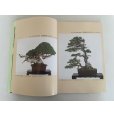 Photo2: No.SF album 50 <br>Sakufu ten No.50 (2024) (2)