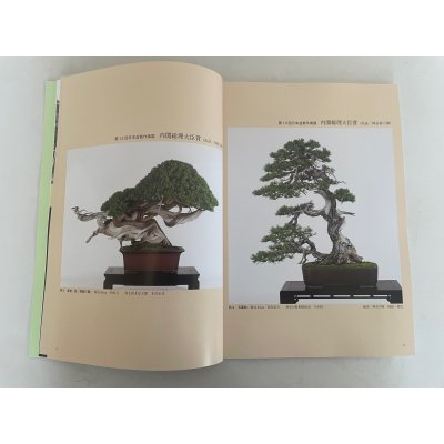 Photo2: No.SF album 50  Sakufu ten No.50 (2024)