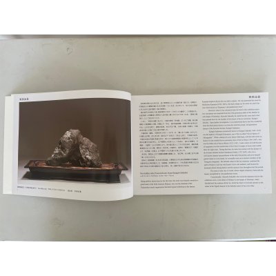 Photo3: No.Suiseki 2025   Exhibition of Japanese Suiseki masterpieces