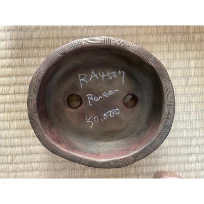 Photo3: No.RA4507  Razan