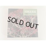 No.KF99   Kokufu album 2025 (Total page 332)