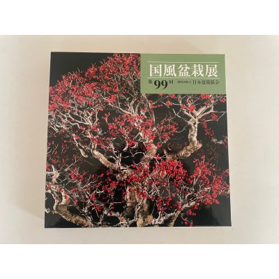 Photo1: No.KF99   Kokufu album 2025 (Total page 332)