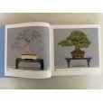 Photo2: No.KF99  <br>Kokufu album 2025 (Total page 332) (2)