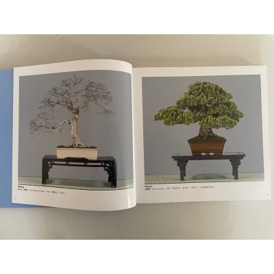Photo2: No.KF99   Kokufu album 2025 (Total page 332)