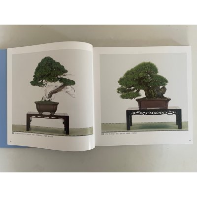 Photo3: No.KF99   Kokufu album 2025 (Total page 332)