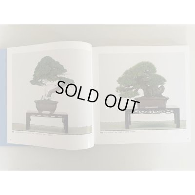 Photo3: No.KF99   Kokufu album 2025 (Total page 332)