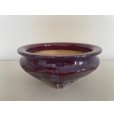 Photo1: No.No.FA5601 <br>Bonsai pot by Shigeru Fukuda (1)