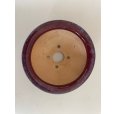 Photo2: No.No.FA5601 <br>Bonsai pot by Shigeru Fukuda (2)