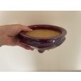Photo4: No.No.FA5601 <br>Bonsai pot by Shigeru Fukuda (4)