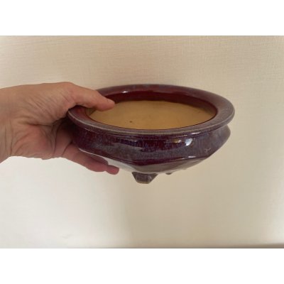 Photo4: No.No.FA5601  Bonsai pot by Shigeru Fukuda
