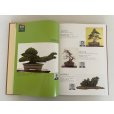 Photo5: No.SF album 50  Sakufu ten memorial book  No.50 (2024)