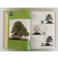 Photo4: No.SF album 50  Sakufu ten memorial book  No.50 (2024)
