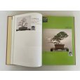 Photo3: No.SF album 50  Sakufu ten memorial book  No.50 (2024)