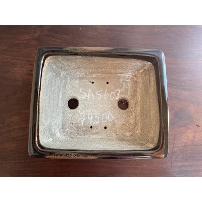 Photo2: No.SA5603 Satomi pot