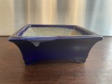 No.SA5604 Satomi pot