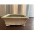 Photo1: No.SA5605<br>Satomi pot (1)