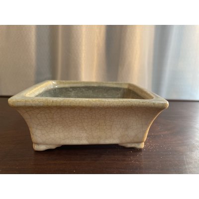 Photo1: No.SA5605 Satomi pot