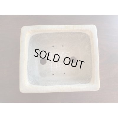 Photo2: No.SA5605 Satomi pot