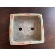Photo2: SA5606 <br>satomi (2)