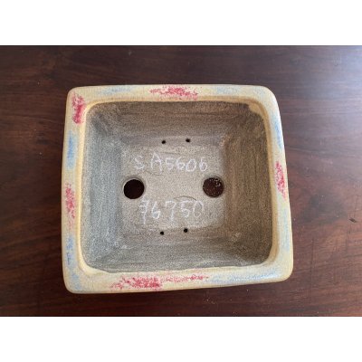 Photo2: SA5606  satomi