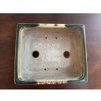 Photo2: SA5607 <br>satomi (2)