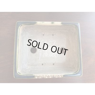 Photo2: SA5607  satomi