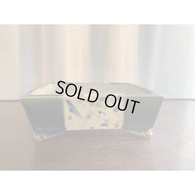 Photo1: SA5608  satomi