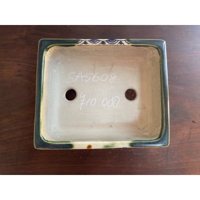 Photo2: SA5608  satomi