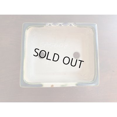 Photo2: SA5608  satomi