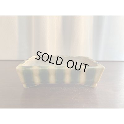 Photo1: SA5612  satomi