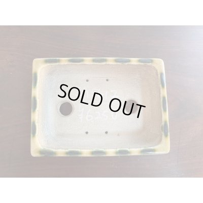 Photo2: SA5612  satomi