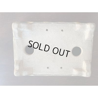 Photo3: SA5612  satomi