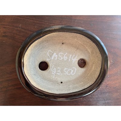 Photo2: SA5614  satomi