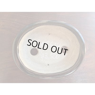 Photo2: SA5614  satomi